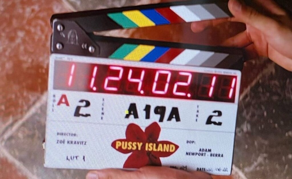 Pussy Island -Zoë Kravitz