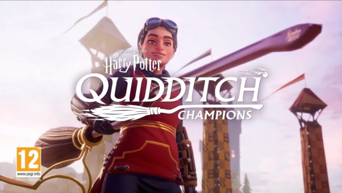 quidditch champions
