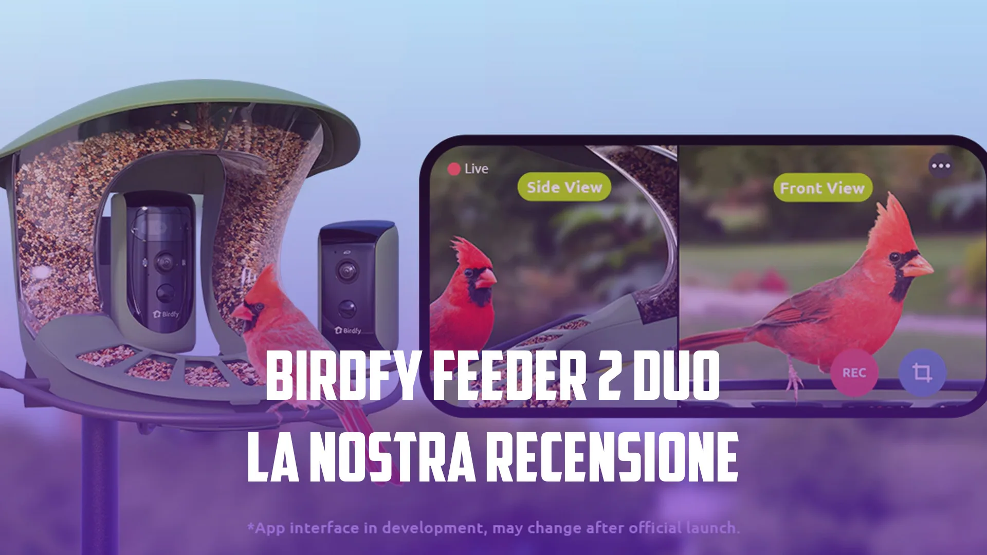 Telecamera Birdhouse HD - telecamera per mangiatoia per uccelli
