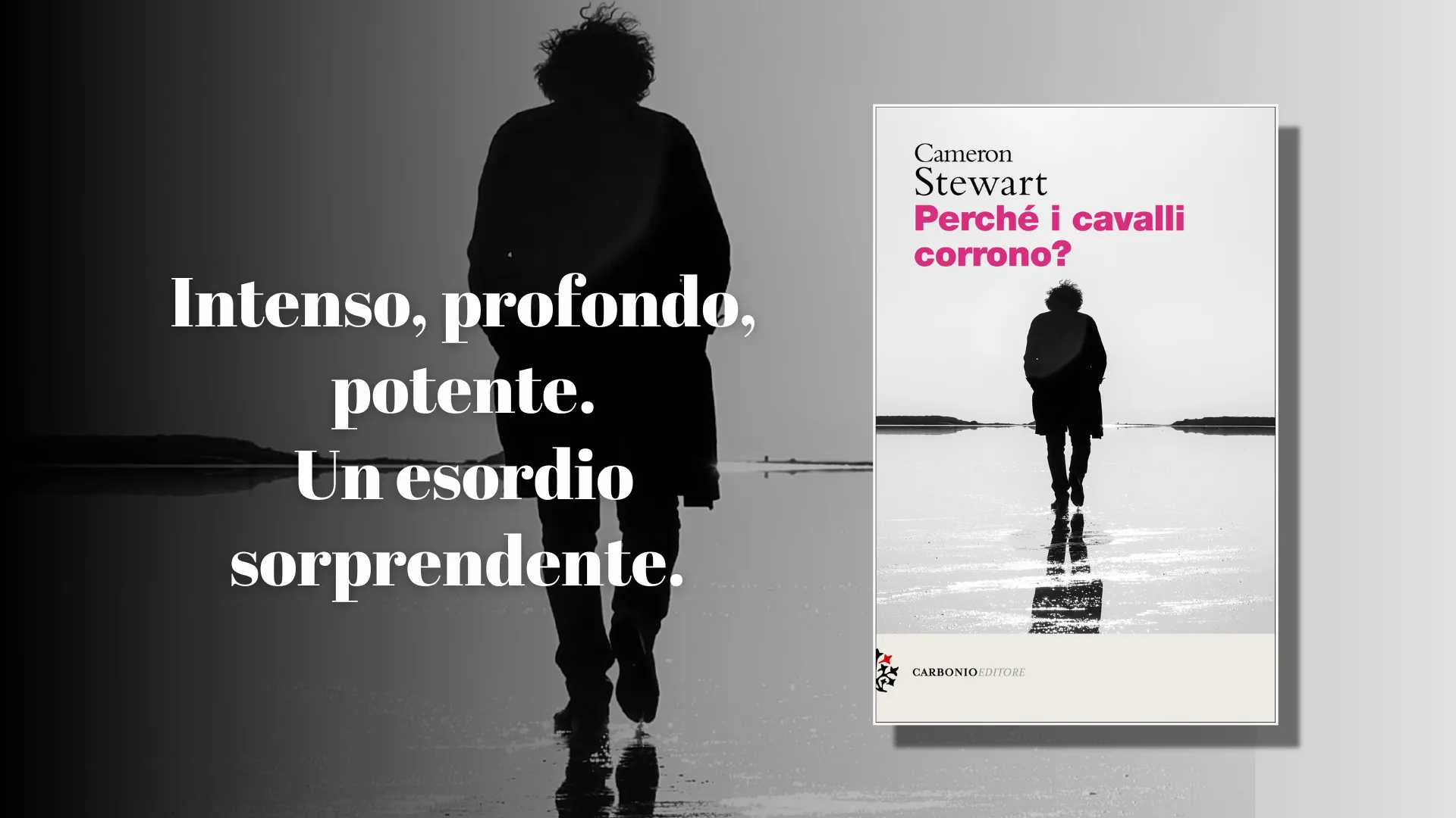 PERCHÉ I CAVALLI CORRONO? di Cameron Stewart: recensione 