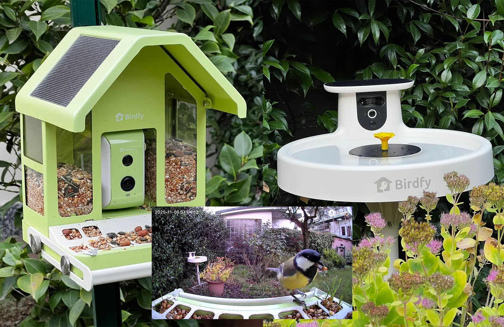 Birdfy Bath Pro e Birdfy Feeder Metal: due soluzioni smart per portare la natura vicino a casa Birdfy Bath Pro e Birdfy Feeder Metal: due soluzioni smart per portare la natura vicino a casa