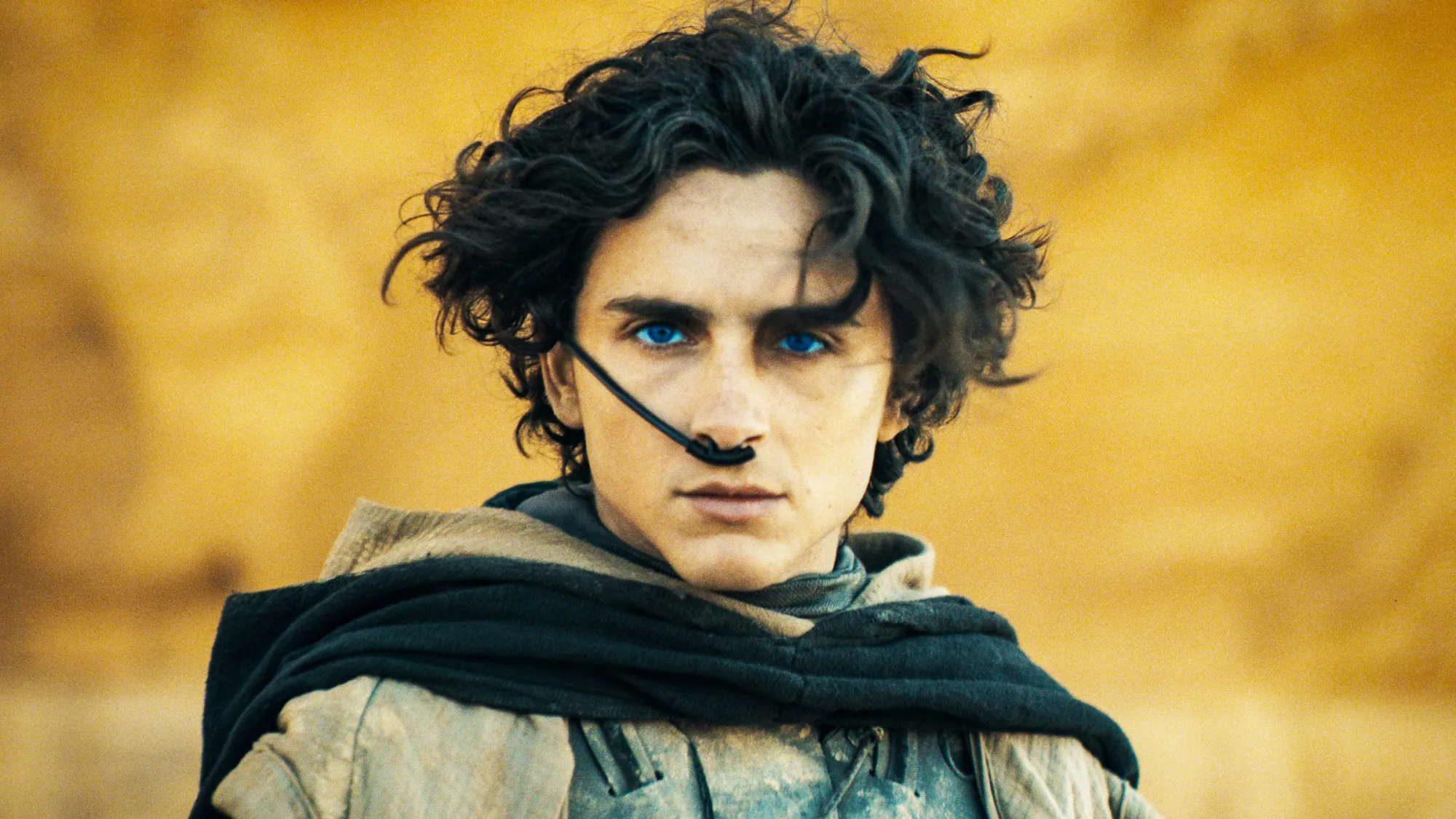 Dalla DC a Harry Potter e Dune: Ecco i 10 franchise che Netflix si è assicurata con Warner Bros. Dalla DC a Harry Potter e Dune: Ecco i 10 franchise che Netflix si è assicurata con Warner Bros.