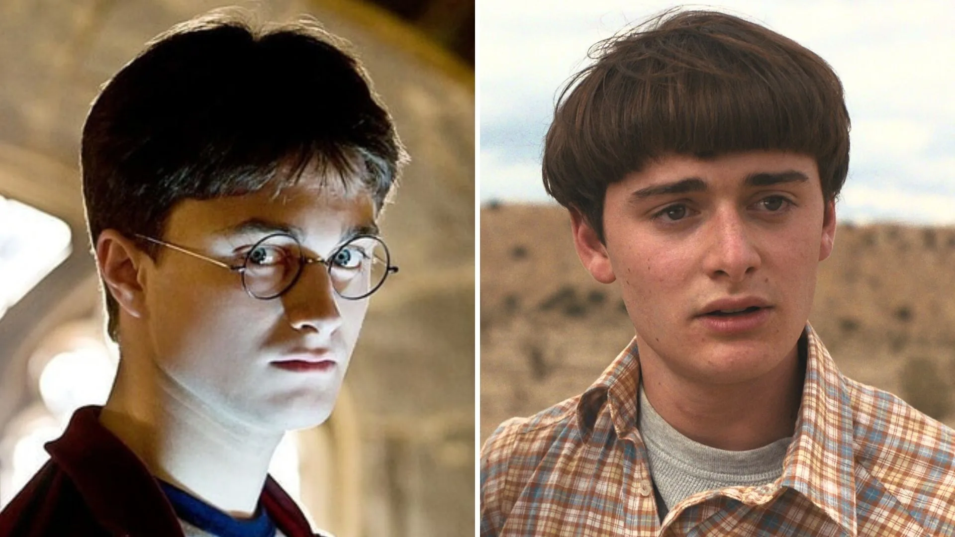 Stranger Things 5: Perché Will Byers potrebbe avere lo stesso destino di Harry Potter? Stranger Things 5: Perché Will Byers potrebbe avere lo stesso destino di Harry Potter?